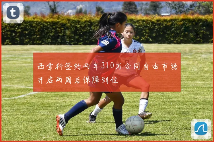 西索科签约两年310万合同自由市场开启两周后保障到位