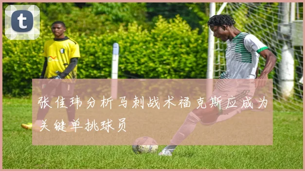 张佳玮分析马刺战术福克斯应成为关键单挑球员